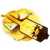albert-premier-euro-chocolate-money